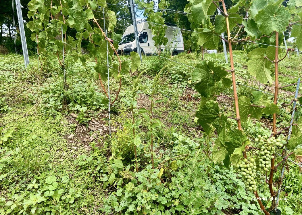 (54295) Trier - Sickingenstraße — foto 3
