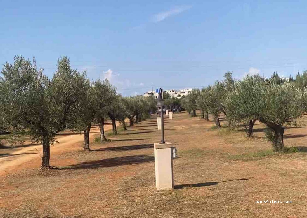 Agricamping Parco degli Ulivi Camper Service — foto 2
