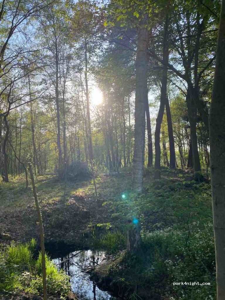(48317) Ascheberg - Daverthauptweg — foto