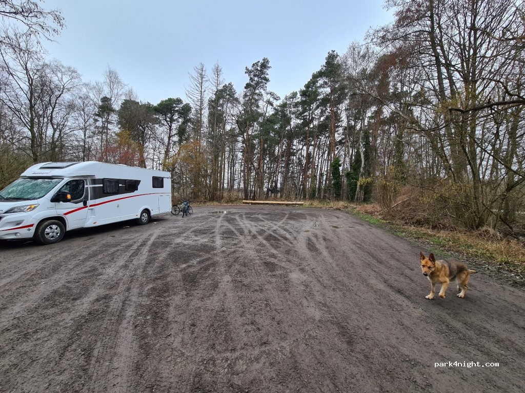 (48317) Ascheberg - Daverthauptweg — foto 3