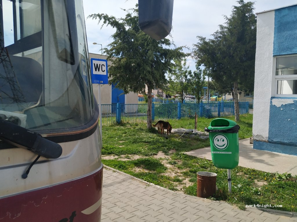 (077035) Cernica - Autostrada Soarelui — foto
