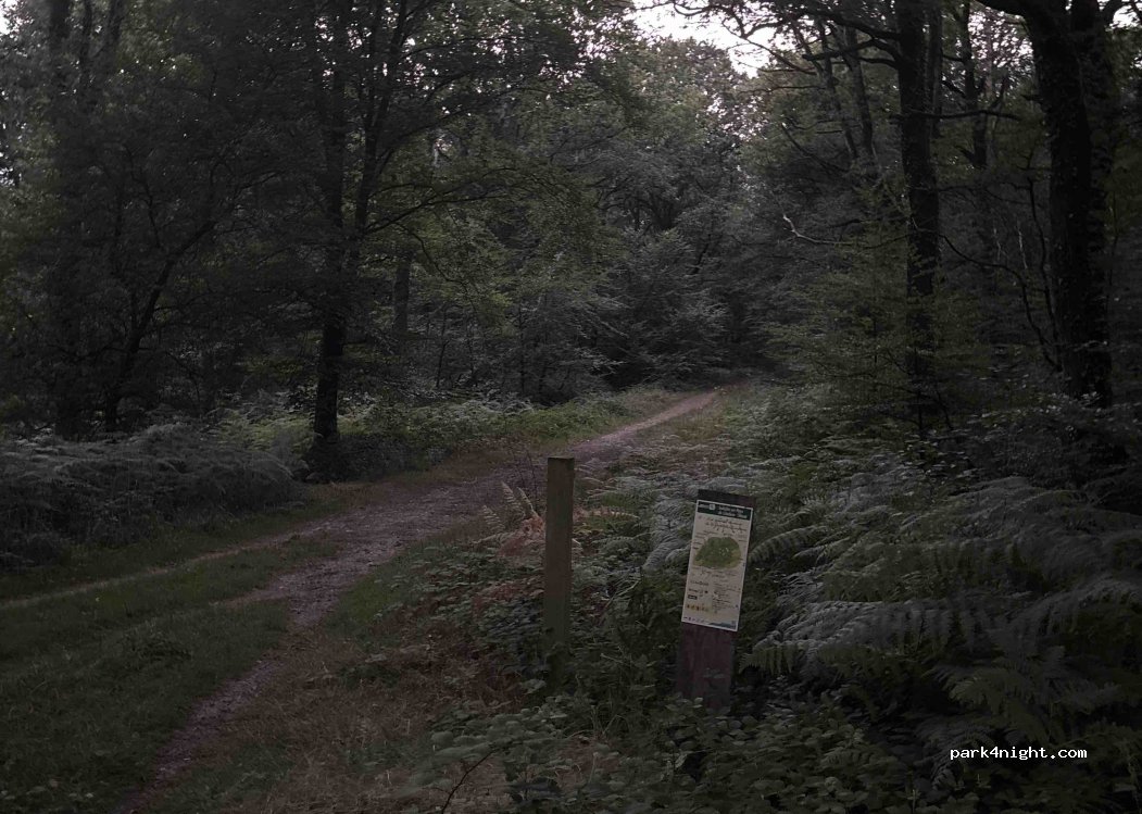 (22600) Loudéac - Chemin de la Messe — foto