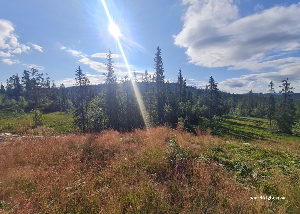 (3880) Dalen - Borsævegen — foto 3