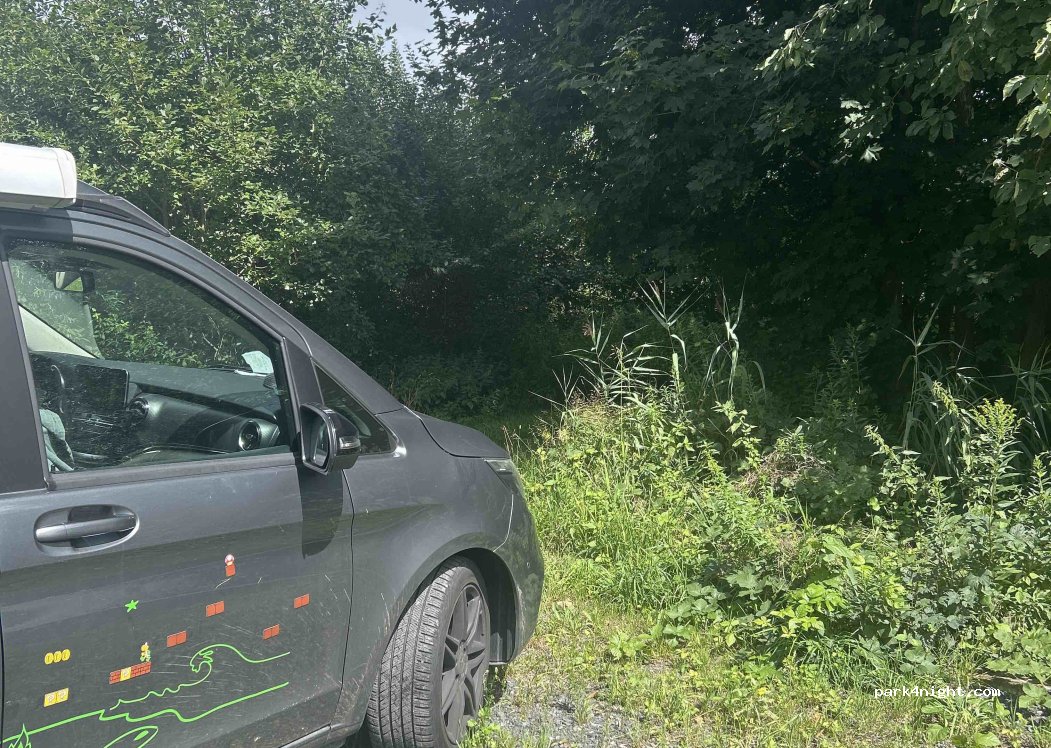 (9813) Lurnfeld - Waldweg — foto