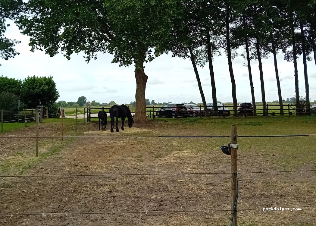 Camperfarm Kerkhoeve — foto 2