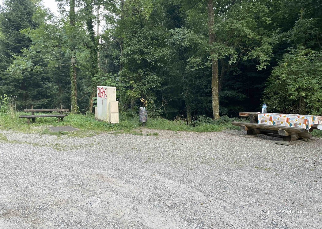 (67440) Reinhardsmunster - D 218 — foto