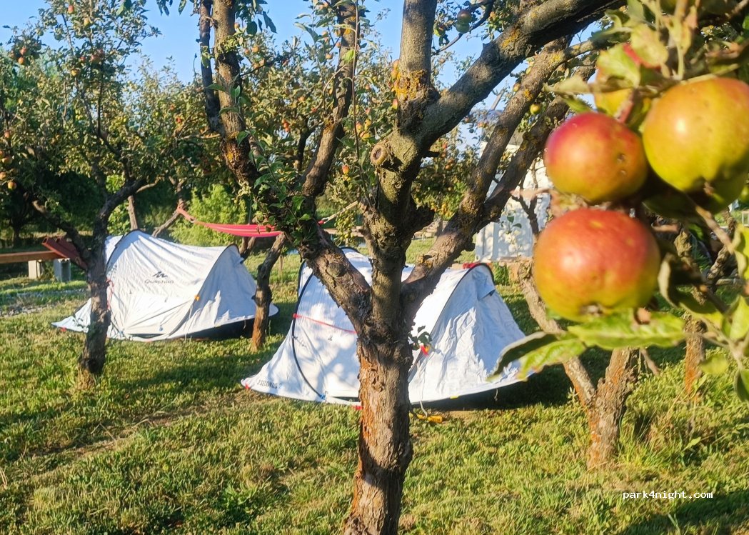 Balta Feleacu — foto