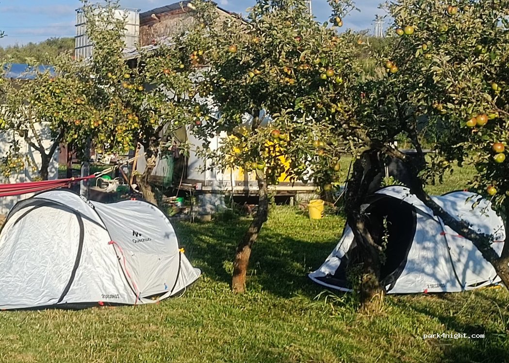 Balta Feleacu — foto 3
