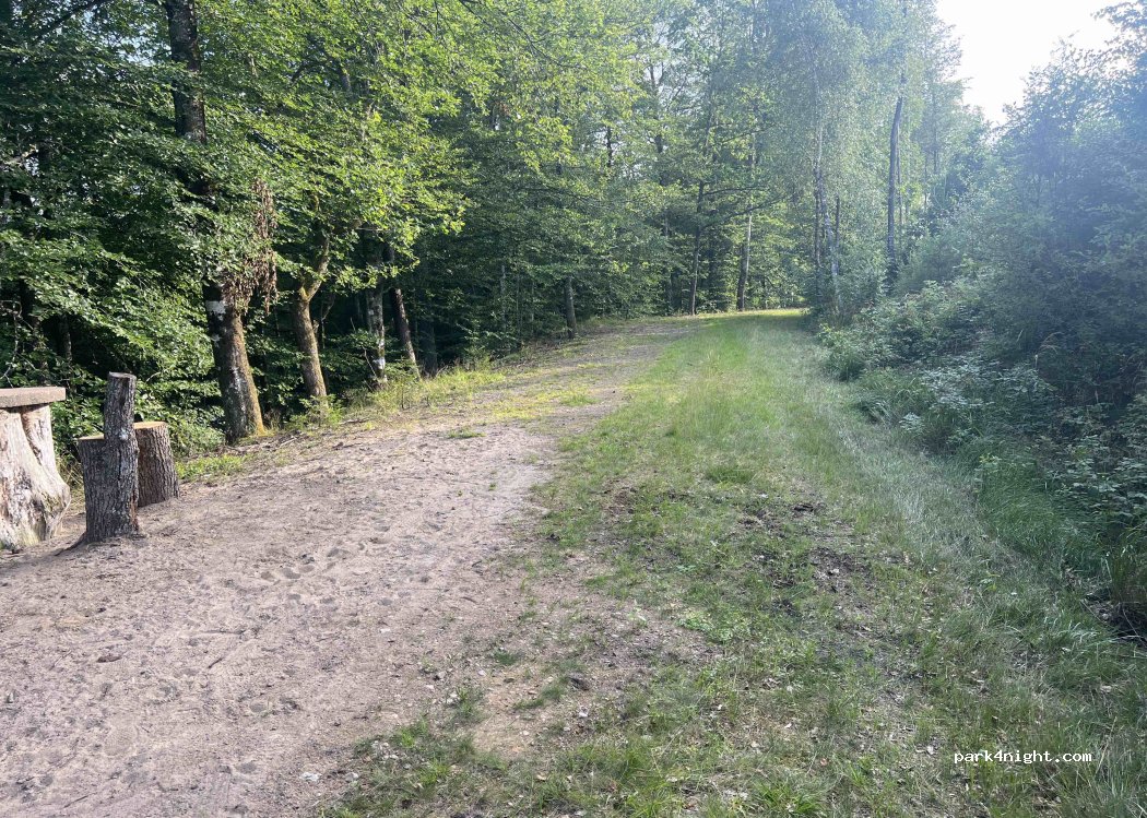 (285 91) Timsfors - Unnamed Road — foto 2