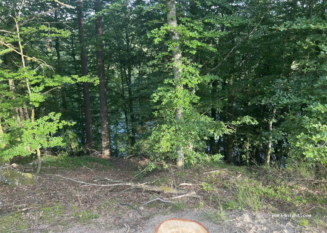 (285 91) Timsfors - Unnamed Road — foto 3