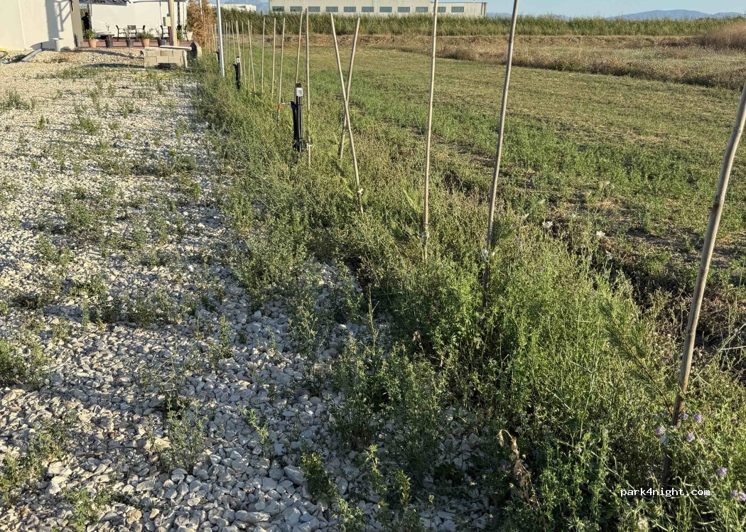 (9314) Levan - Unnamed Road — foto