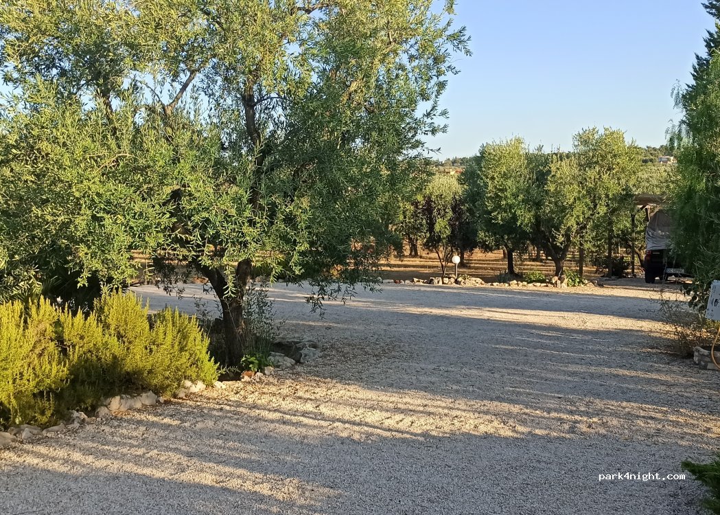 (76123) Corato - Strada esterna dell'Accio 11 — foto 2
