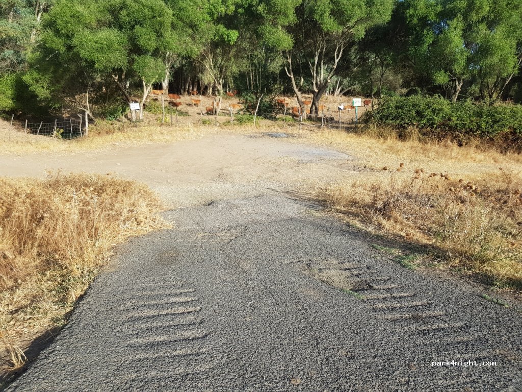 (11180) Alcalá de los Gazules -  A-2228 — foto 2