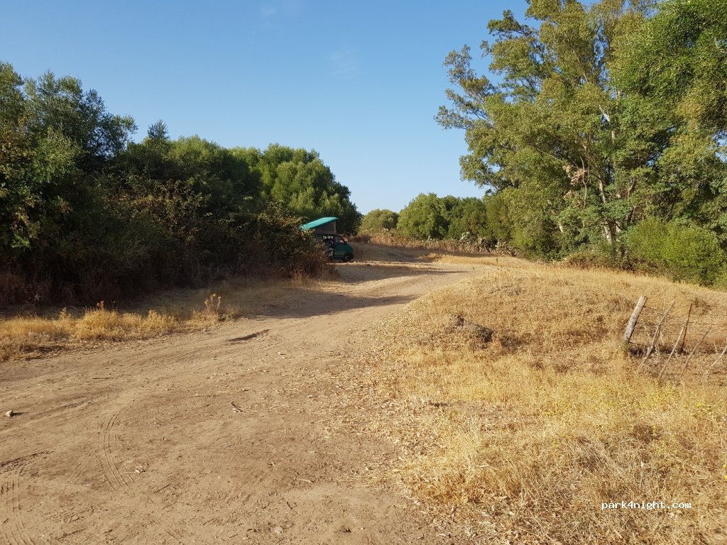 (11180) Alcalá de los Gazules -  A-2228 — foto 3