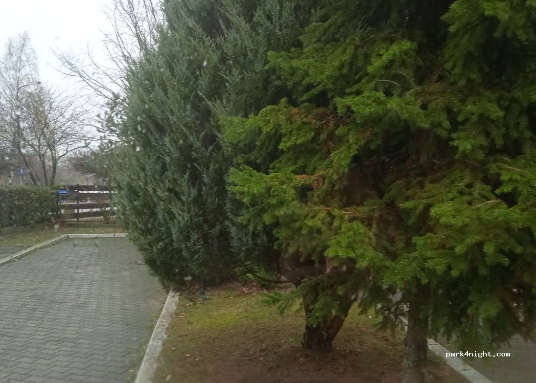 Camping no. 62 — foto 5