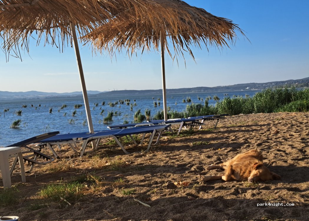(1487) Nov Dojran - Маршал Тито — foto 2