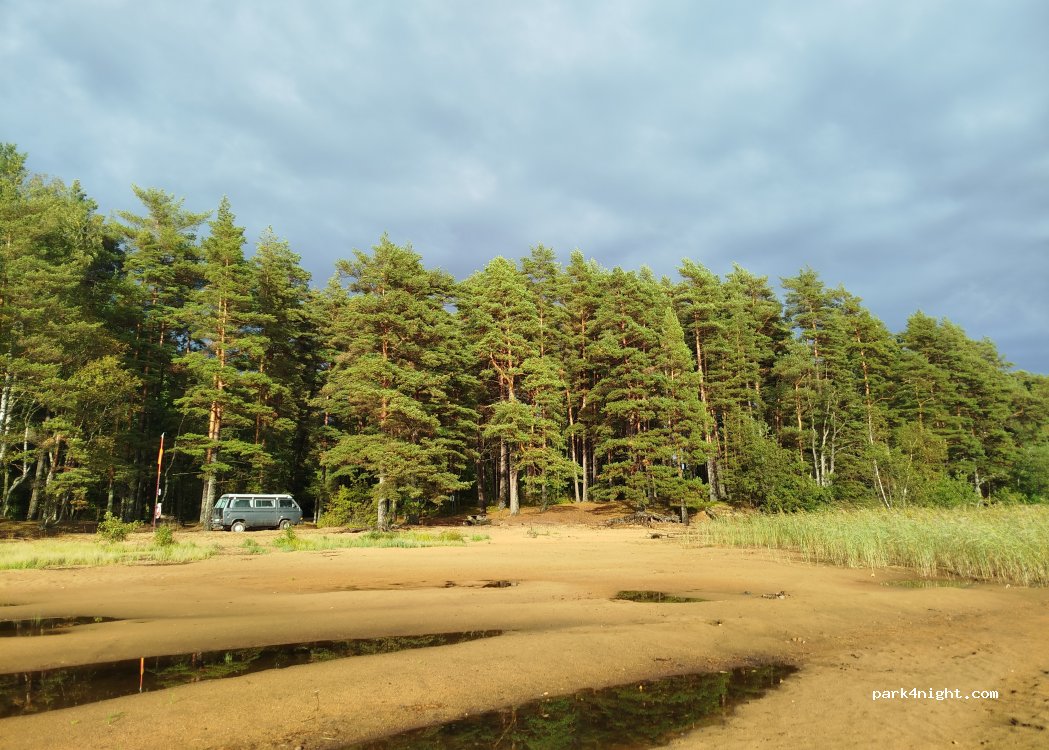 (51393) Tämta - — foto 3