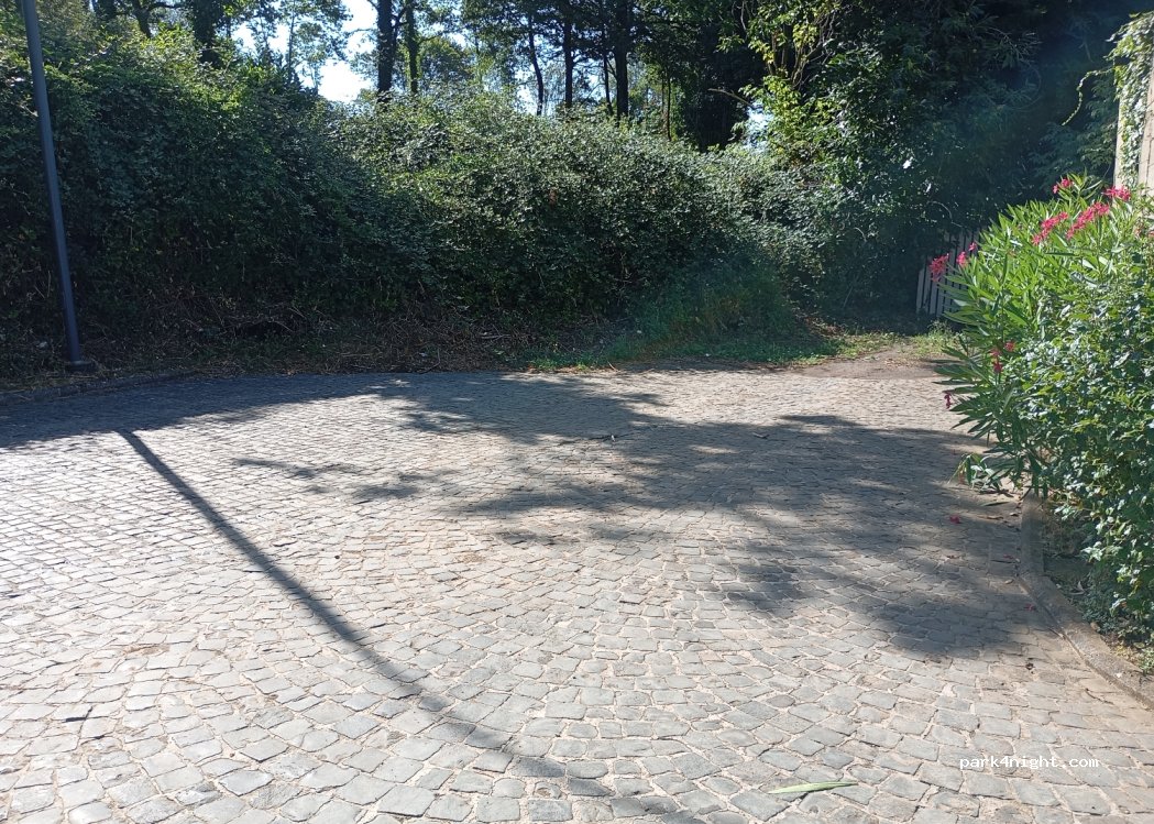(00074) Nemi - Via Suolo di Pirro — foto