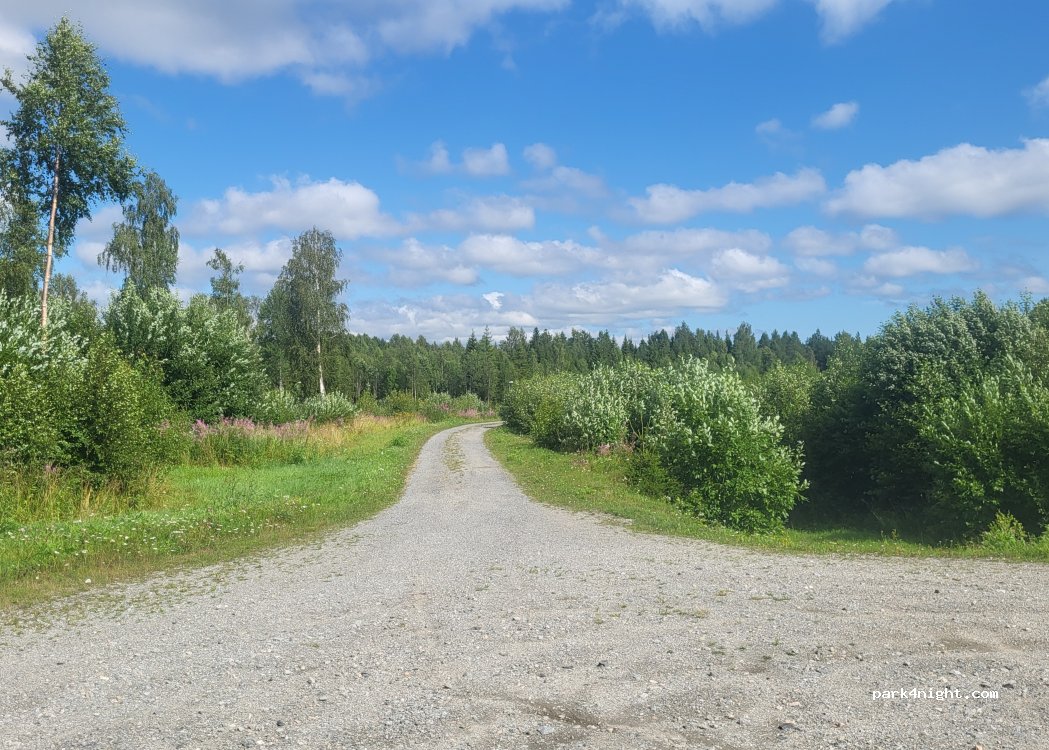 (841 91) Borgsjö District - Albyvägen — foto 2