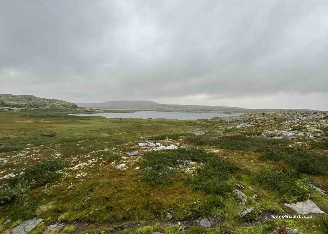 (2630) Ringebu - Friisvegen — foto 2