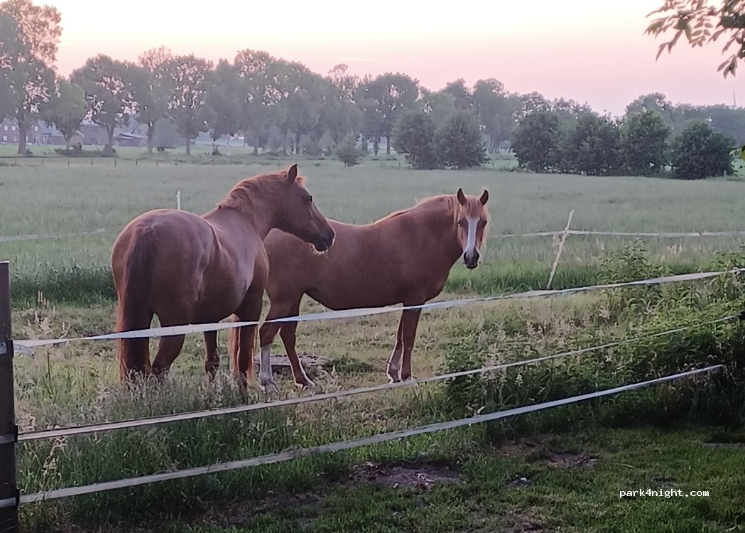 (26897) Hilkenbrook - Wallstätte — foto