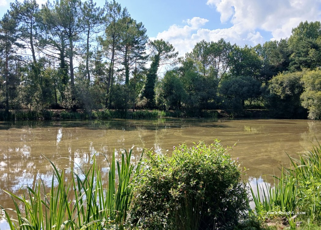 (44160) Sainte-Reine-de-Bretagne - — foto 4