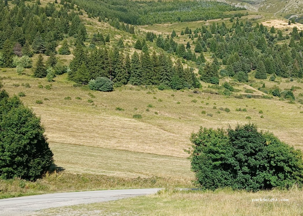 (38350) Saint-Honoré - Route de la Chaud — foto 2