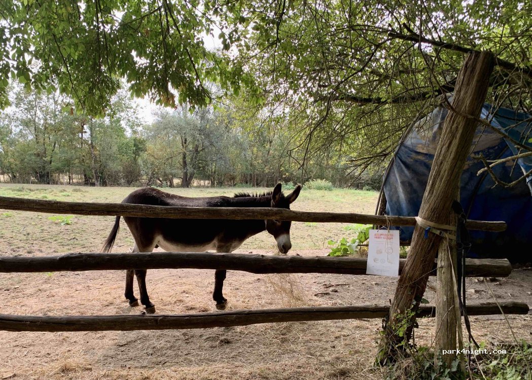 Camping et gîte La Clé des Champs — foto 4