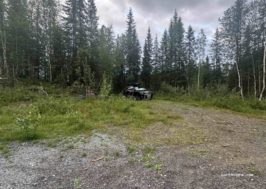 (8630) Storforshei - Grønfjelldalsveien — foto 3
