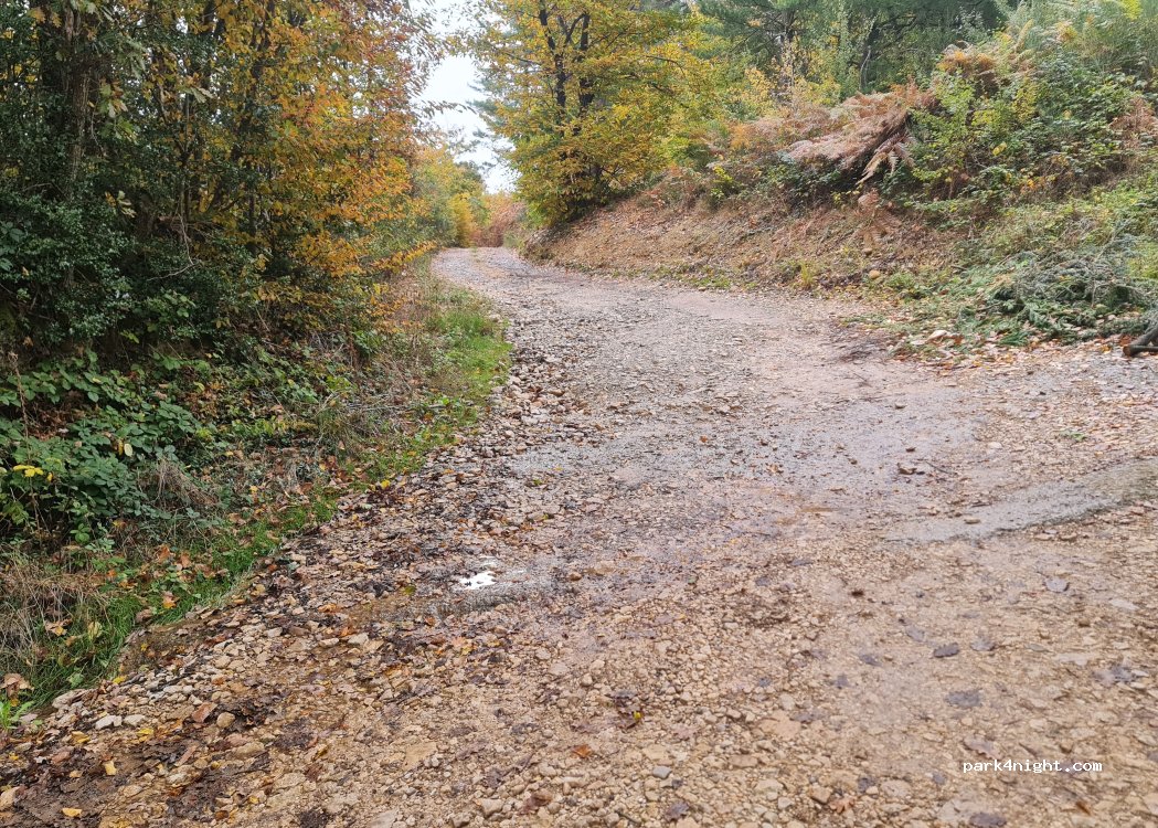 (38260) Lieudieu - Chemin de la Vordène — foto 2
