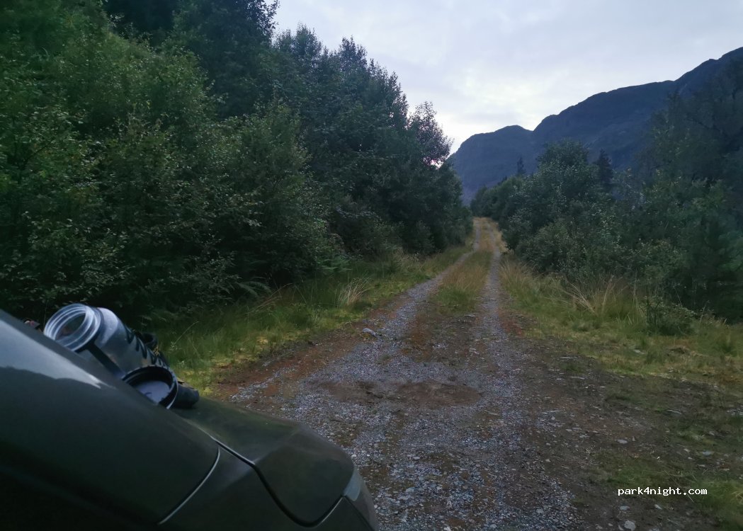 (6774) Nordfjordeid - Stigedalsvegen — foto