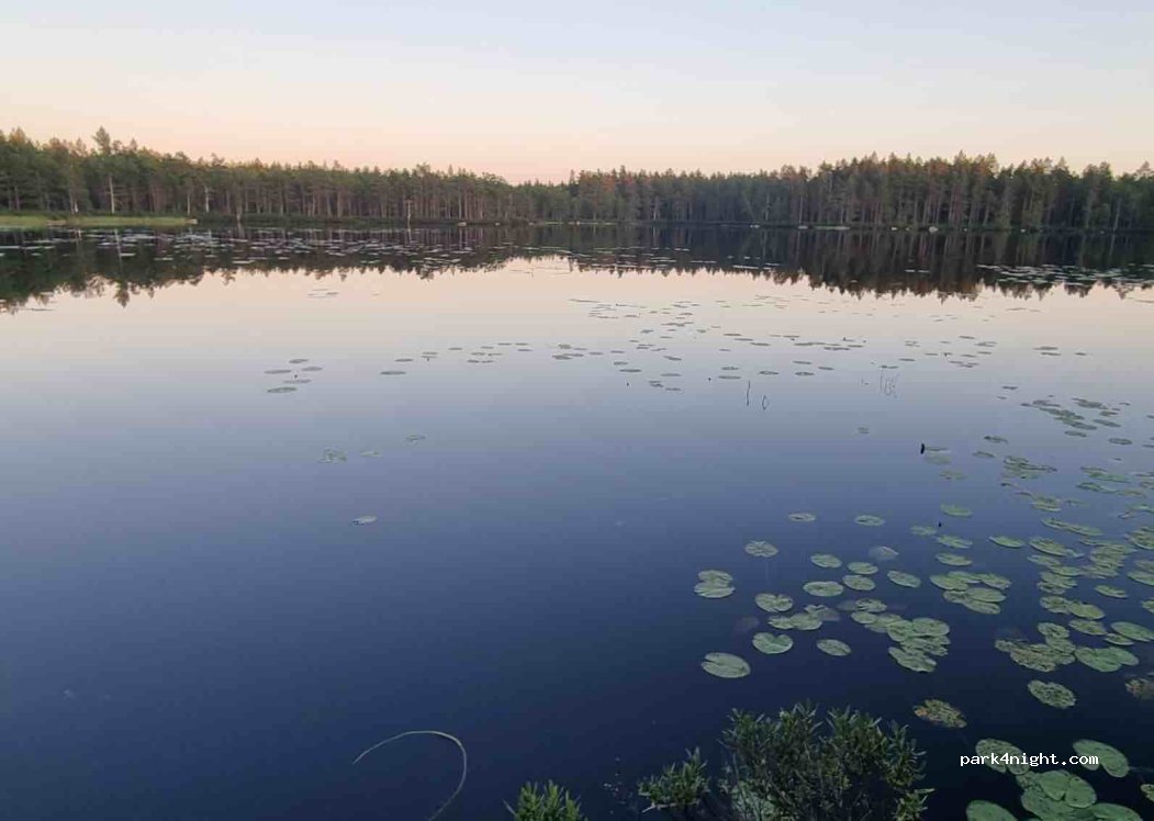 (365 44) Kylleskruv - — foto