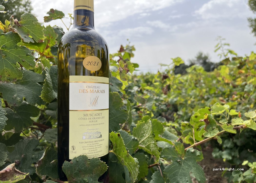 Château des Marais — foto 4