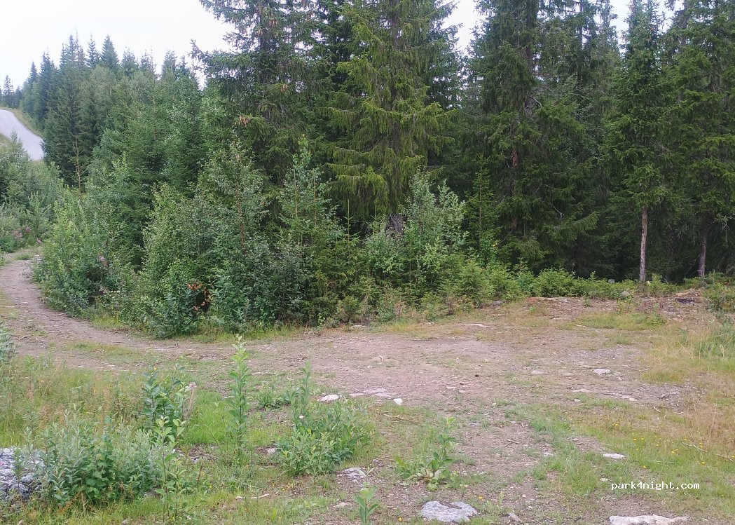 (3550) Gol - Grønlivegen — foto
