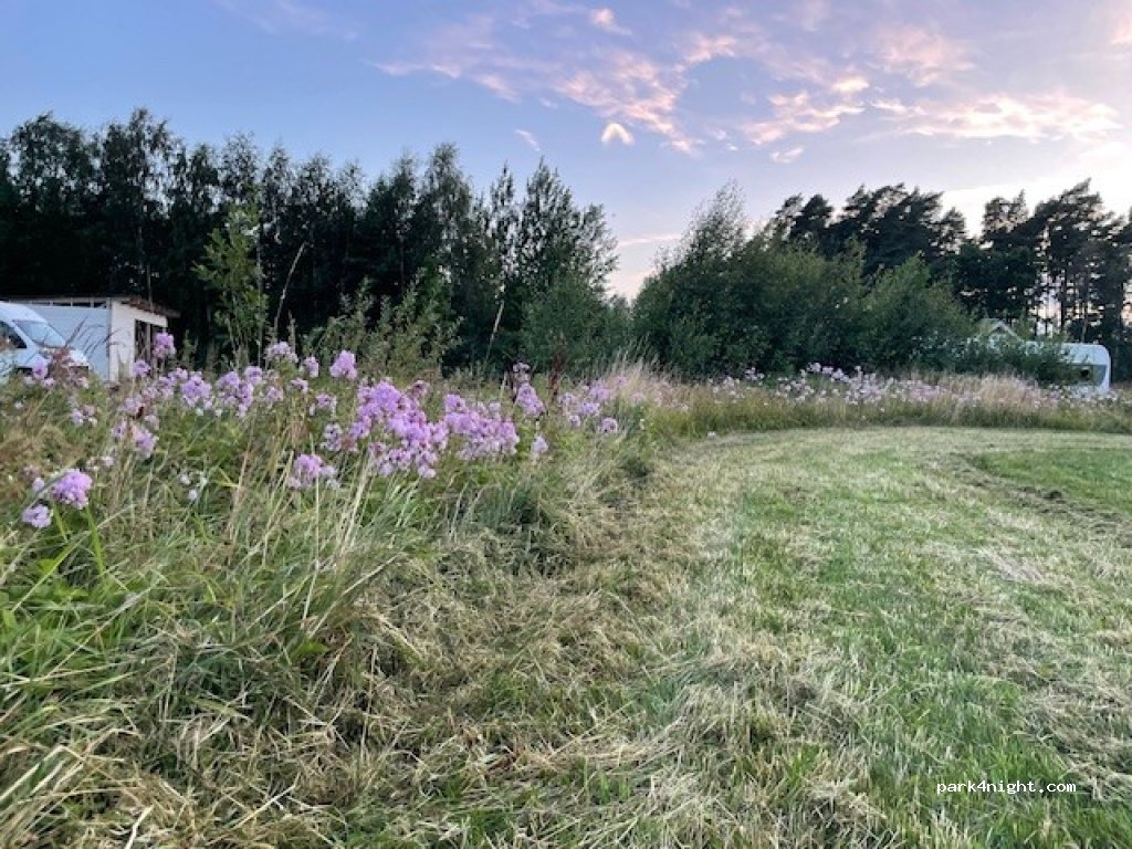 Björkgård på Öland — foto 3