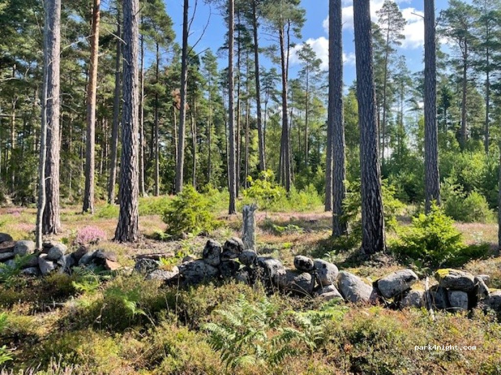 Björkgård på Öland — foto 4