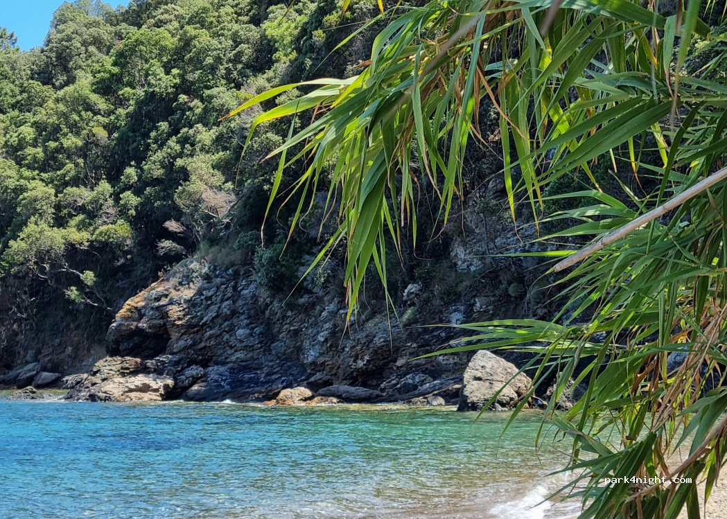 (57038) Rio Marina - Località Ortano — foto