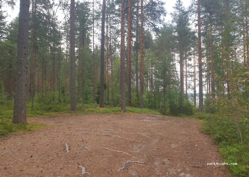 (41220) Uurainen - Muuraismäentie — foto