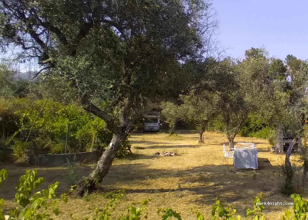 () Louriçal do Campo - — foto