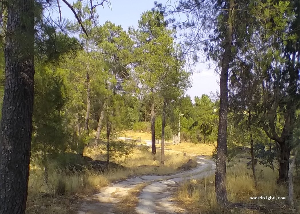 () Louriçal do Campo - — foto 2