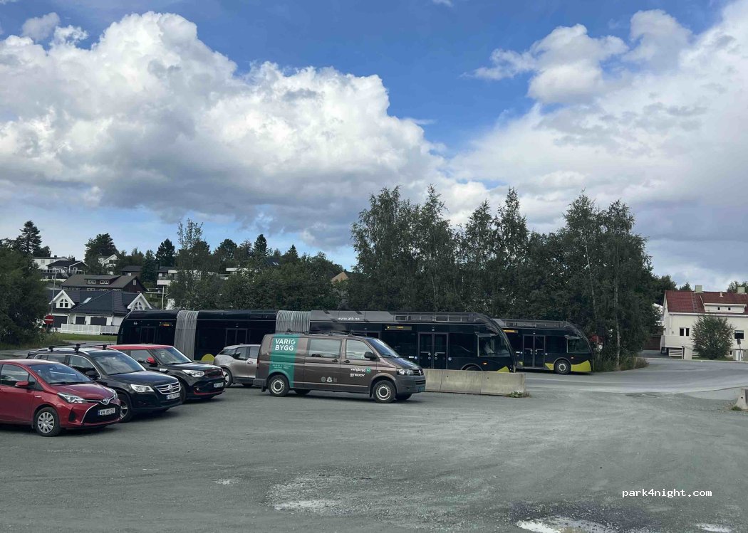 (7049) Trondheim - Loholt allé — foto 3
