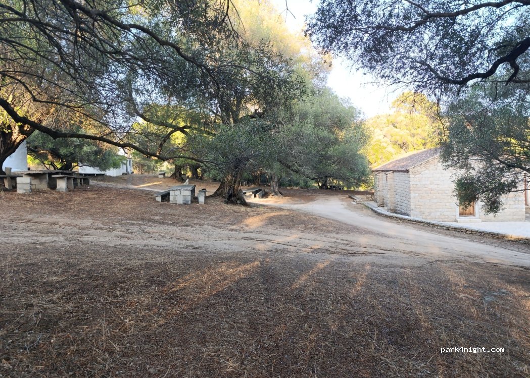 (07026) Olbia - — foto
