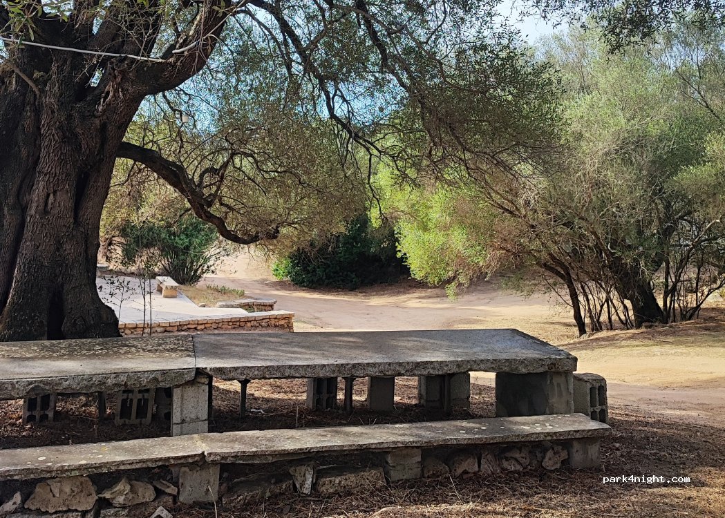 (07026) Olbia - — foto 4