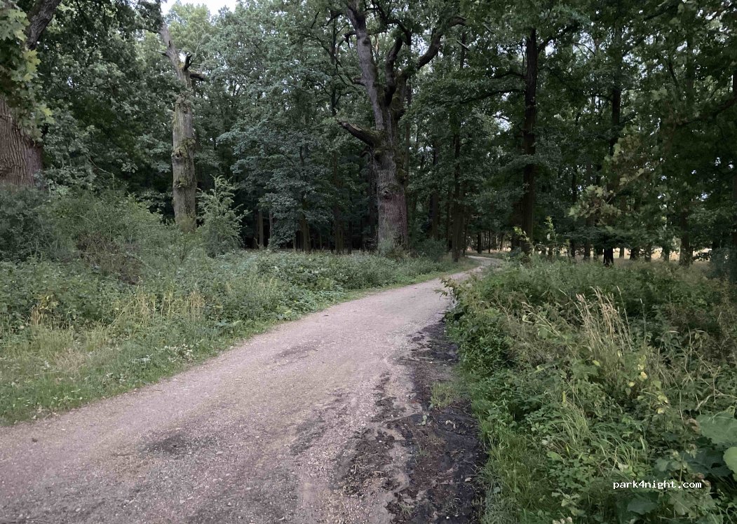 () Zahájí - Unnamed Road — foto
