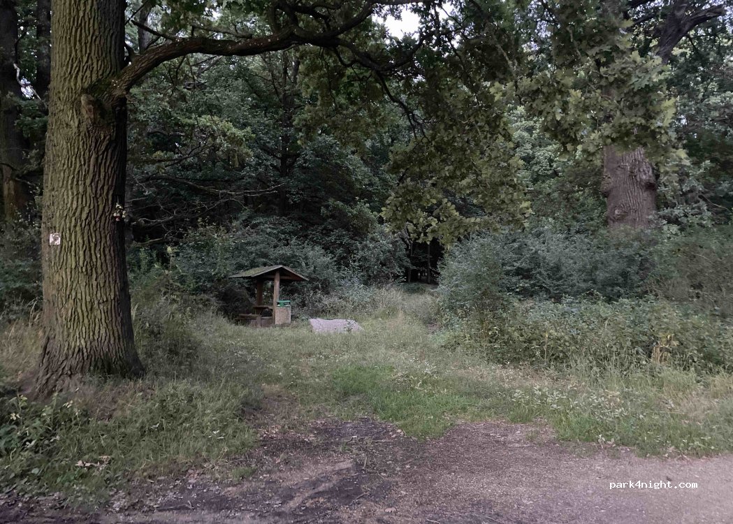 () Zahájí - Unnamed Road — foto 2