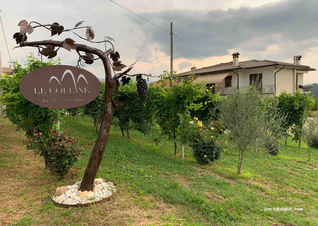 Le Colline Di Vitacchio Gian Pietro — foto