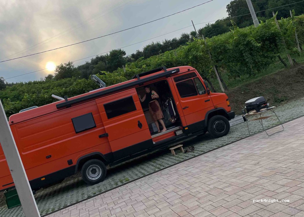 Le Colline Di Vitacchio Gian Pietro — foto 4