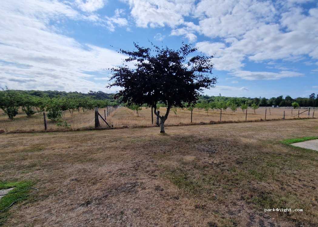Harrow Wood Farm and Caravan Park — foto 2