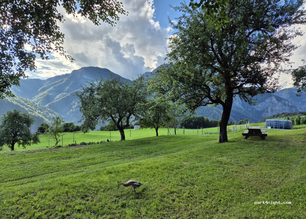 (5220) Tolmin - — foto 2