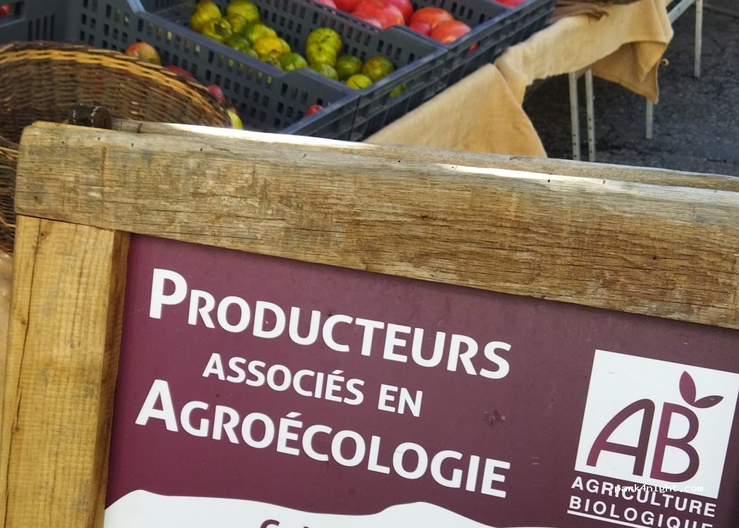 (09200) Saint-Girons - Quai du Roc — foto 3